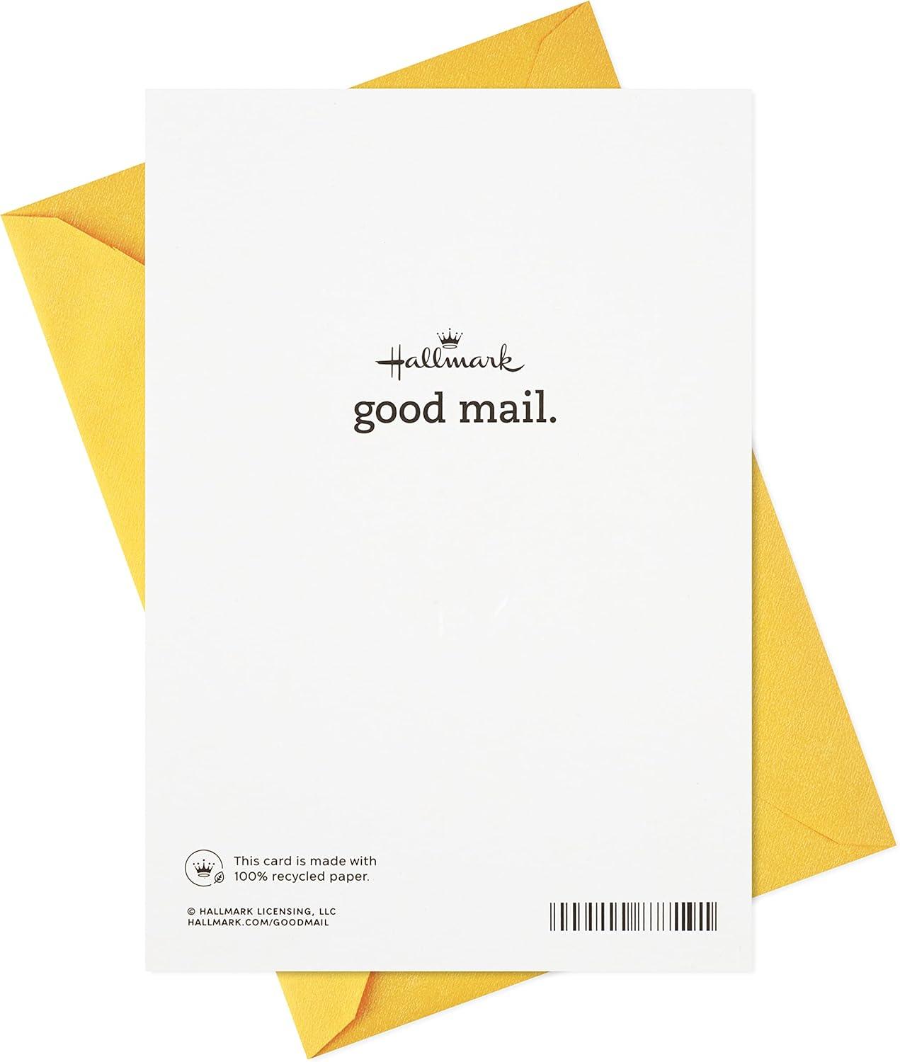 imageHallmark Good Mail Graduation Cards Assortment Every New Adventure Pack of 3 Cards with EnvelopesEvery New Adventure