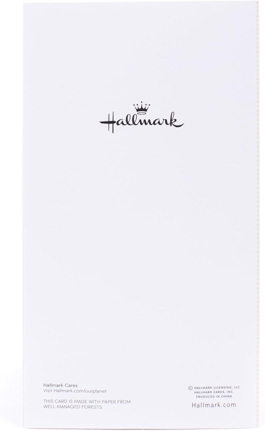 imageHallmark Good Mail Graduation Cards Assortment Every New Adventure Pack of 3 Cards with EnvelopesYou Did It