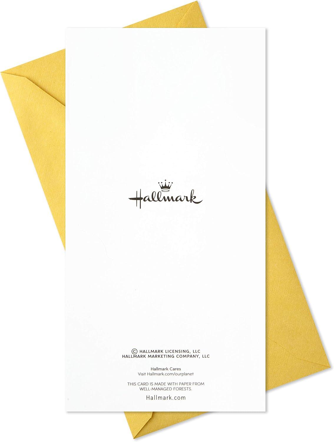 imageHallmark Graduation Card Money Holders or Gift Card Holders Life is a Story 10 Cards with Envelopes