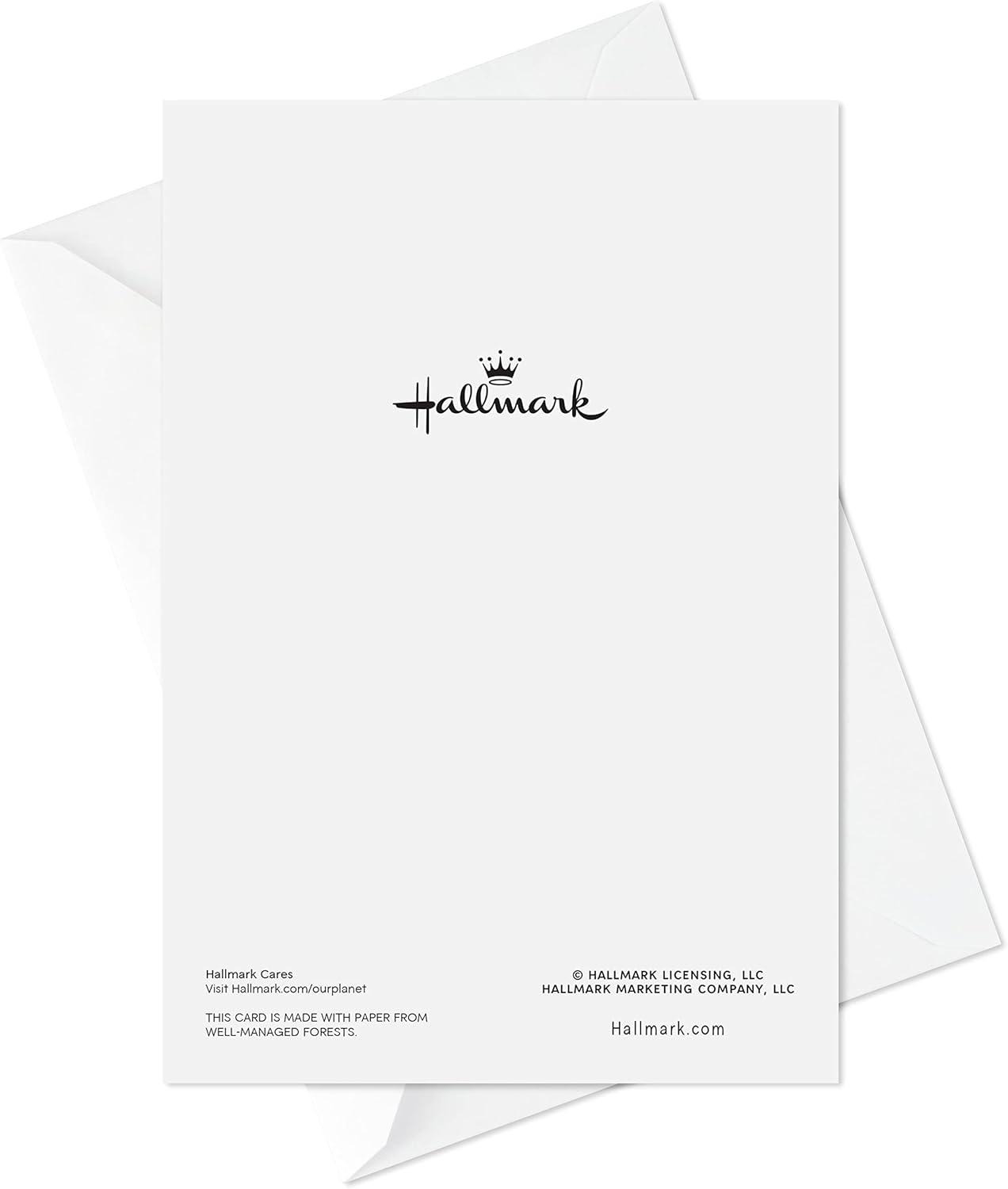 imageHallmark Graduation Cards Assortment Gold Foil Neutrals 16 Cards and Envelopes 4 DesignsGold  Black and Ivory
