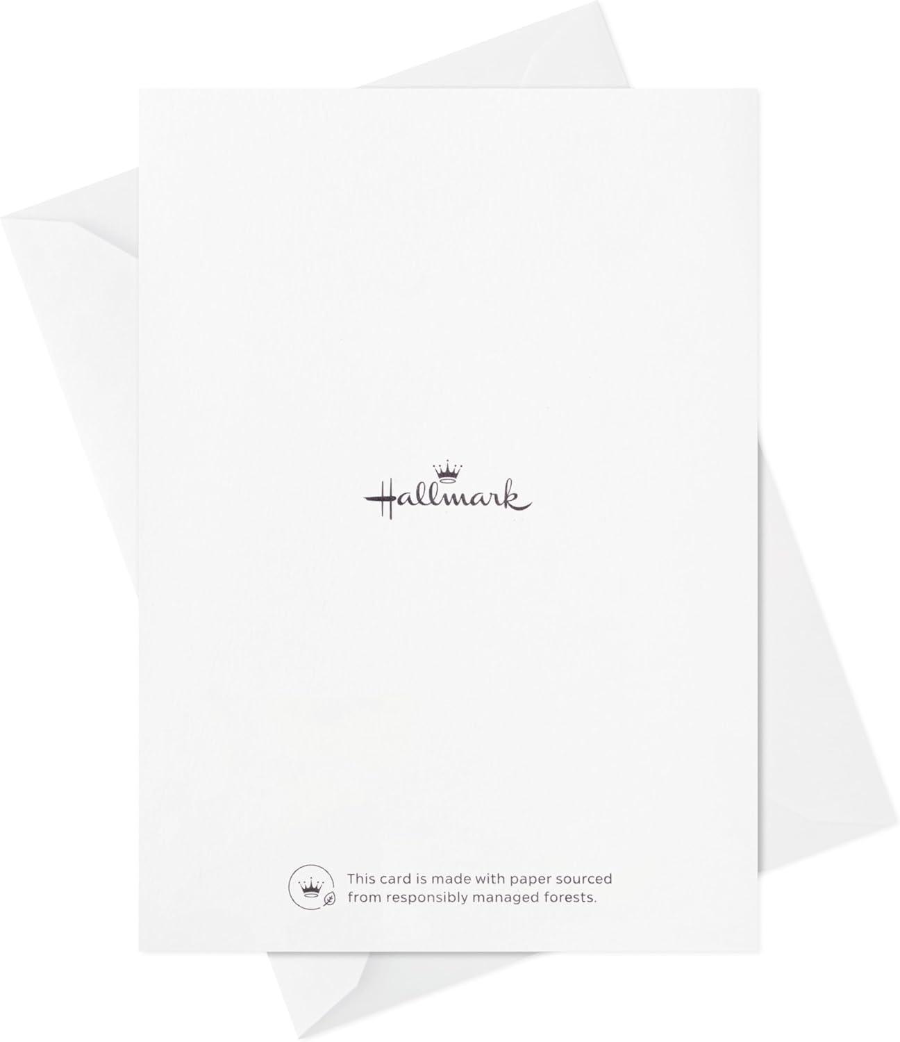 imageHallmark Graduation Cards Bulk Assortment Heres to the Future 36 Cards and Envelopes 6 DesignsHeres to the Future  36 Cards