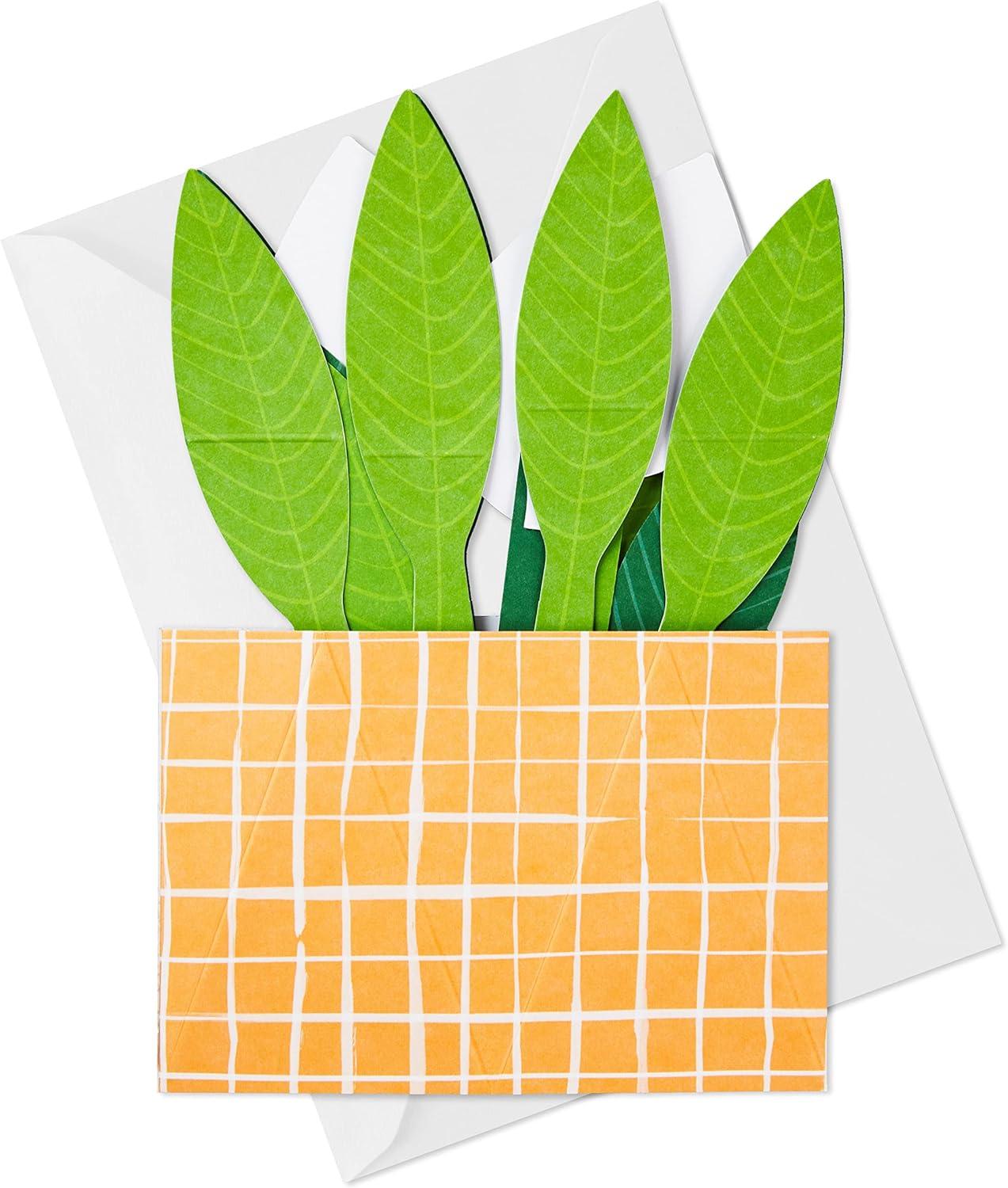 imageHallmark Paper Wonder PickaTitle Customizable PopUp Card Stars and Balloons for Birthday Congrats GraduationPeace Lily