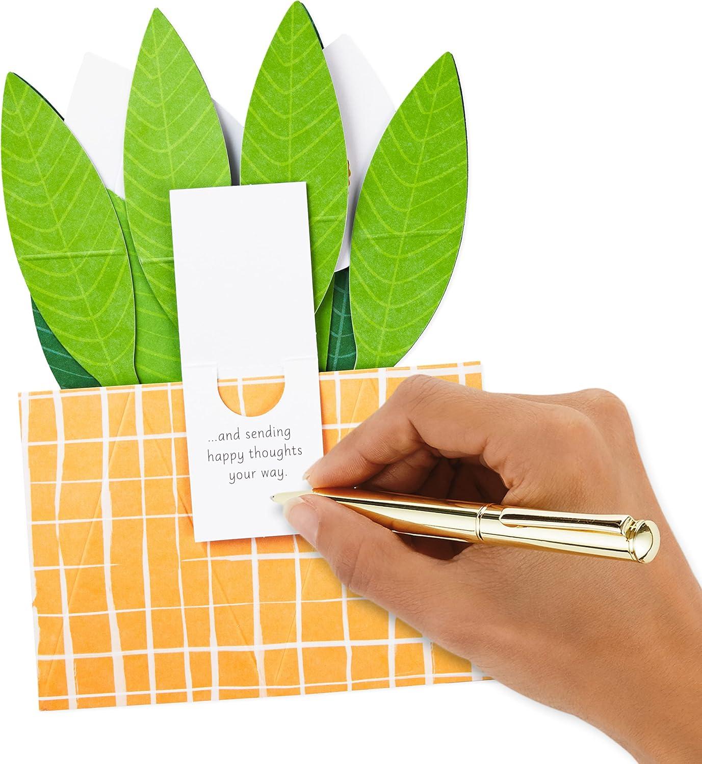 imageHallmark Paper Wonder PickaTitle Customizable PopUp Card Stars and Balloons for Birthday Congrats GraduationPeace Lily