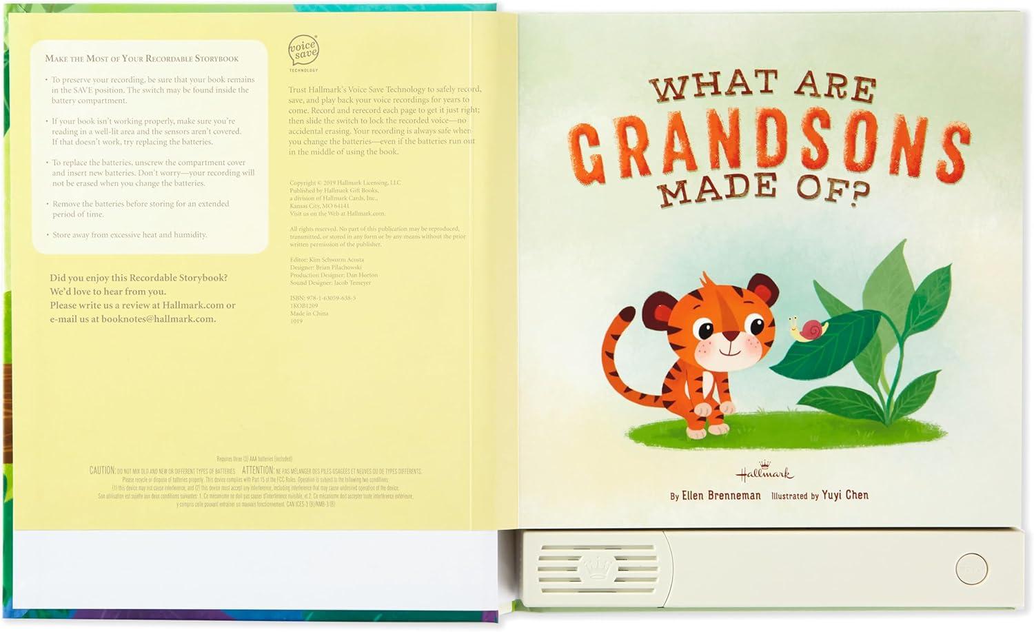 imageHallmark Recordable Book for Children What are Grandsons Made of Easter Basket StuffersWhat Are Grandsons Made Of