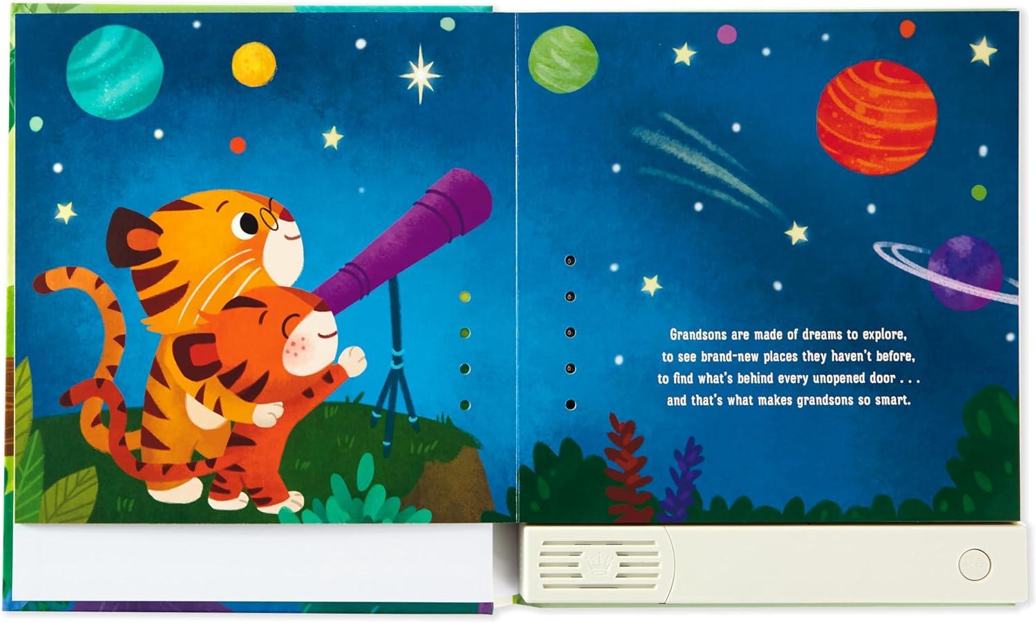 imageHallmark Recordable Book for Children What are Grandsons Made of Easter Basket StuffersWhat Are Grandsons Made Of