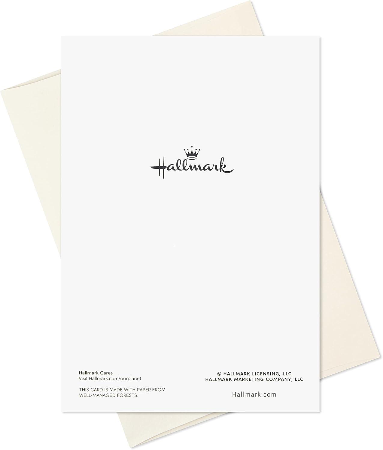 imageHallmark Religious Boxed Christmas Cards Assortment Nativity 40 Cards and EnvelopesNativity