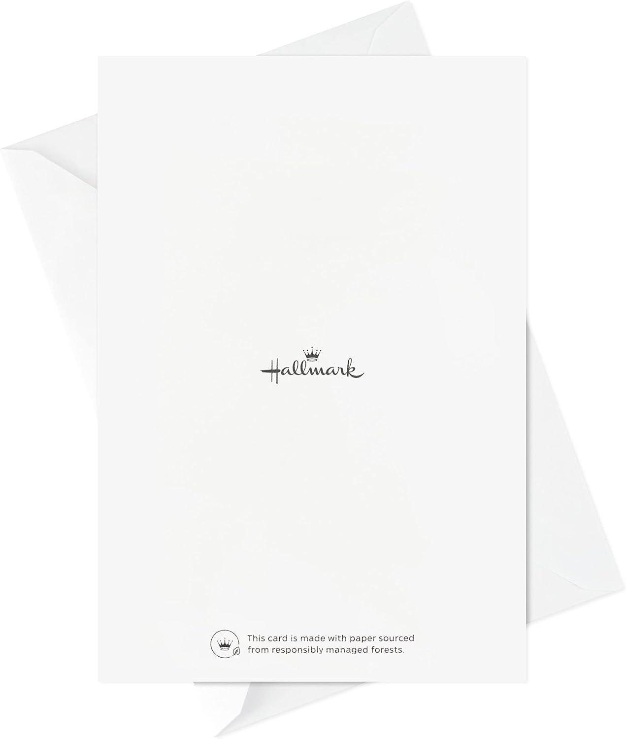 imageHallmark Religious Boxed Christmas Cards Assortment Nativity 40 Cards and EnvelopesSeason of Light