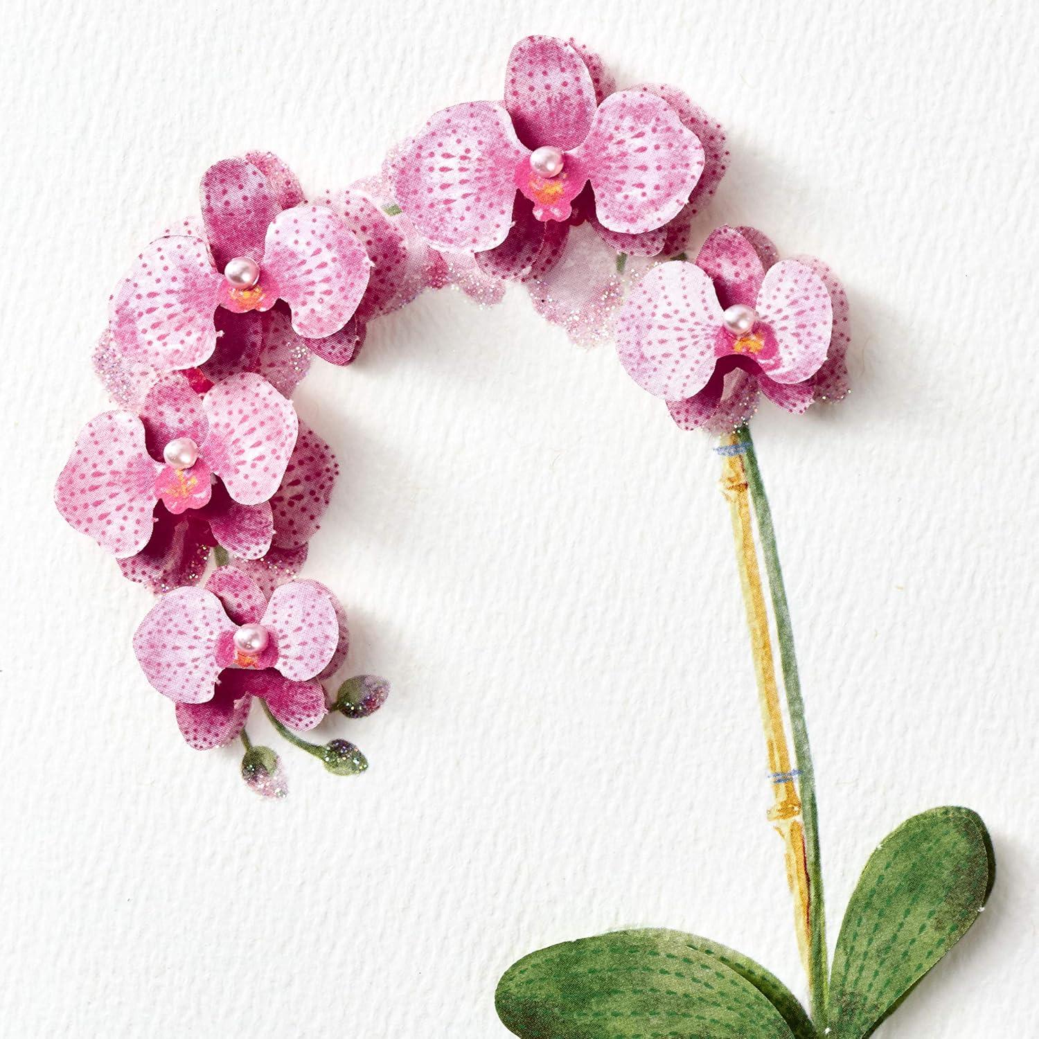 imageHallmark Signature Birthday Card for Her OrchidOrchid