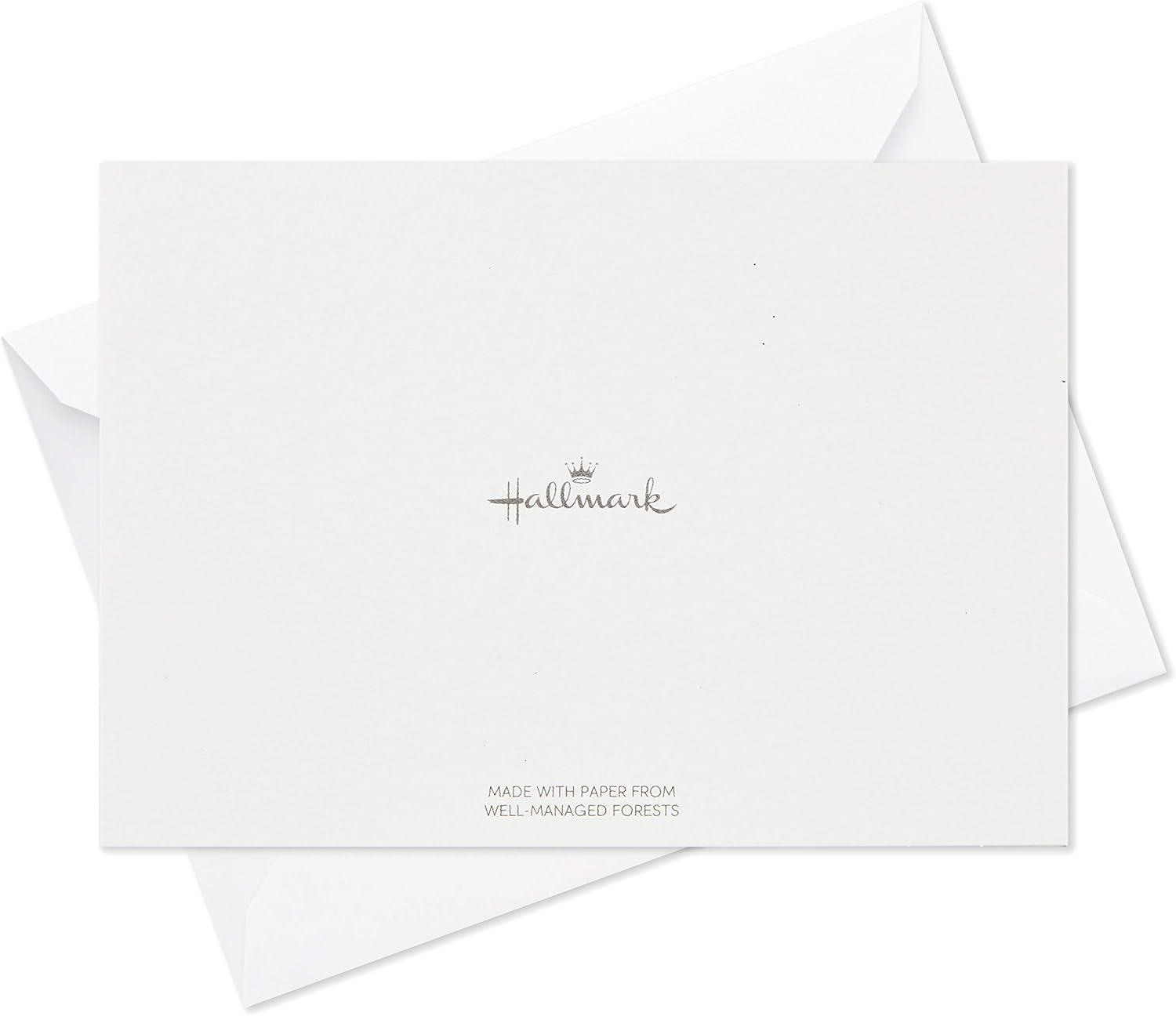 imageHallmark Thank You Cards Assortment Tropical Animals 24 Assorted Thank You Notes with EnvelopesCheetahs Llamas Zebras Flamingos BirdsAnimal