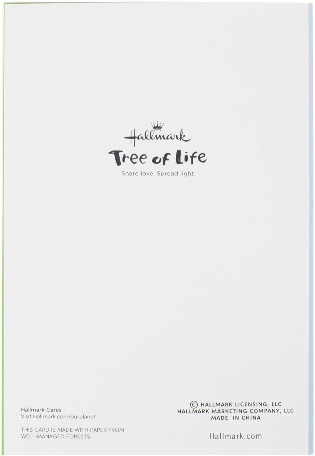 imageHallmark Tree of Life Bat Mitzvah and Bar Mitzvah Boxed Cards Assortment Bat and Bar Mitzvah Congratulations 12 Greeting Cards and Envelopes