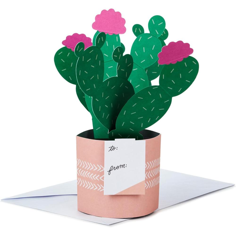 imageHallmark Paper Wonder Mothers Day Pop Up Card Rainbow Thinking of You All OccasionPop Up  Potted Cactus