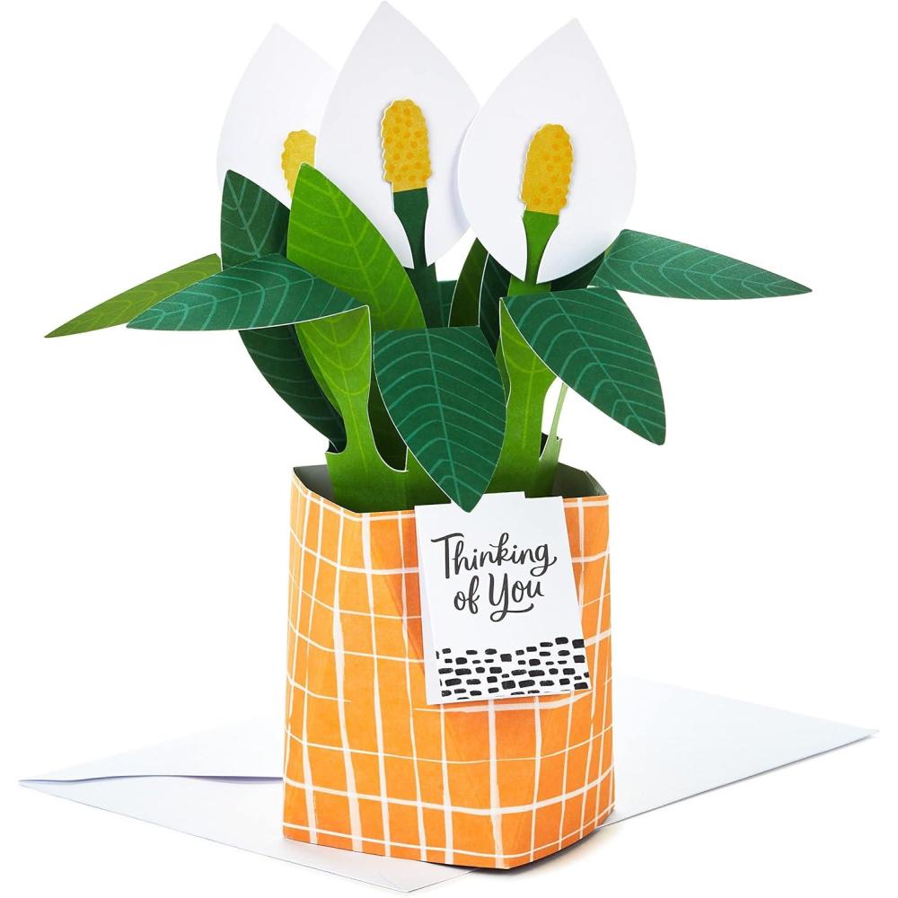 imageHallmark Paper Wonder PickaTitle Customizable PopUp Card Stars and Balloons for Birthday Congrats GraduationPeace Lily