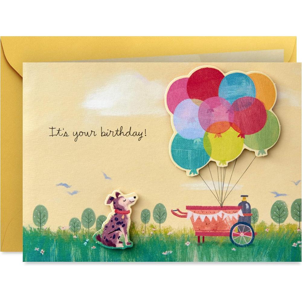 imageHallmark Paper Wonder Pop Up Birthday Card Get Carried Away4 x 55