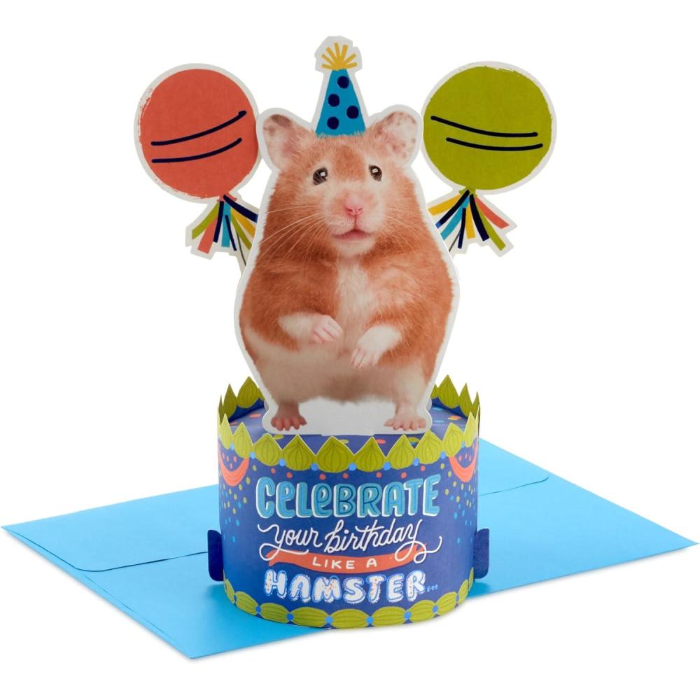 imageHallmark Paper Wonder Shoebox Funny Pop Up Birthday Card Celebrate Like a Hamster