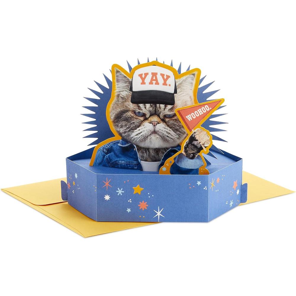 imageHallmark Paper Wonder Shoebox Funny Pop Up Card for Birthdays Cupcake quotNot That OldquotGrouchy Cat