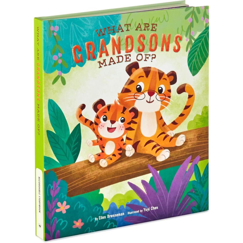 imageHallmark Recordable Book for Children What are Grandsons Made of Easter Basket StuffersWhat Are Grandsons Made Of