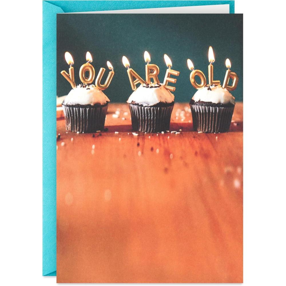 imageHallmark Shoebox Funny Birthday Card You Are Old