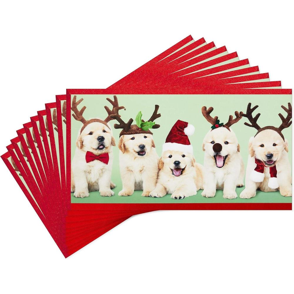 imageHallmark Shoebox Funny Christmas Cards Pack Dogs and Cats 6 Holiday Cards with EnvelopesPuppies in Santa Hats  Pack of Money Holders