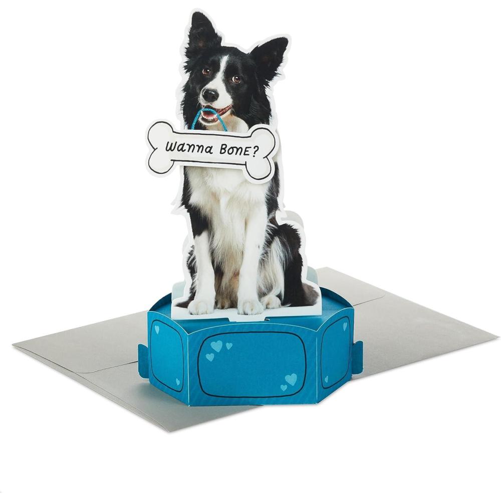 imageHallmark Shoebox Funny Valentines Day Card Nice Butt for Husband Wife Boyfriend GirlfriendDog Treat