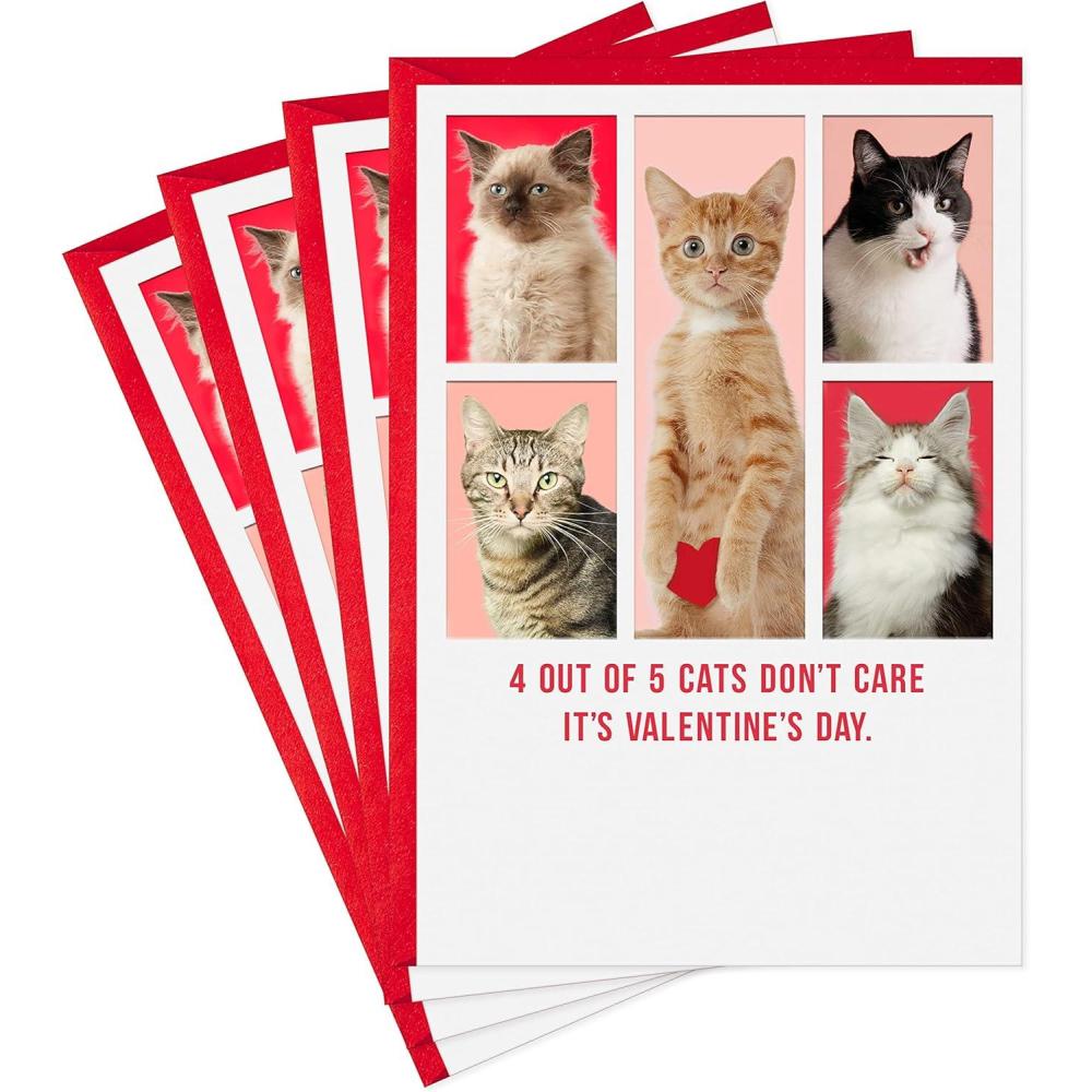 imageHallmark Shoebox Pack of 4 Funny Valentines Day Cards Cats Dont Care