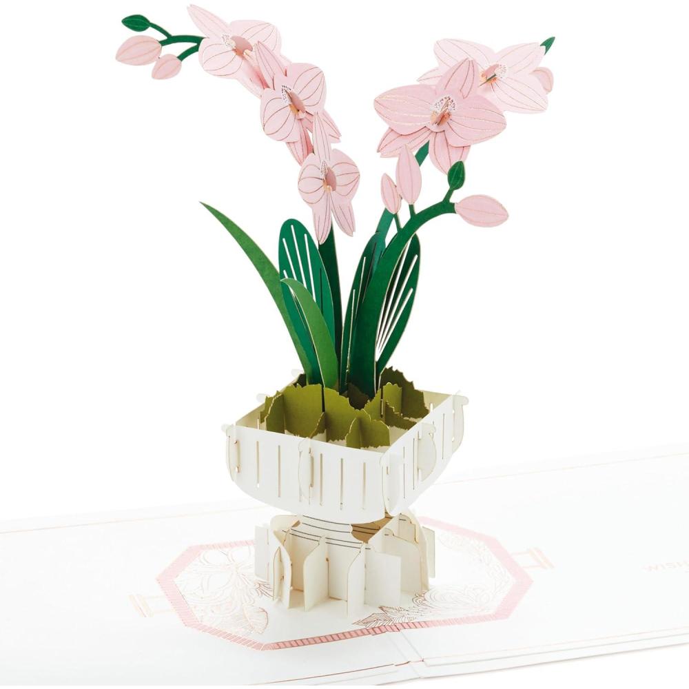 imageHallmark Signature Mothers Day Card Greenhouse Blank Thinking of You EncouragementPop Up  Orchid