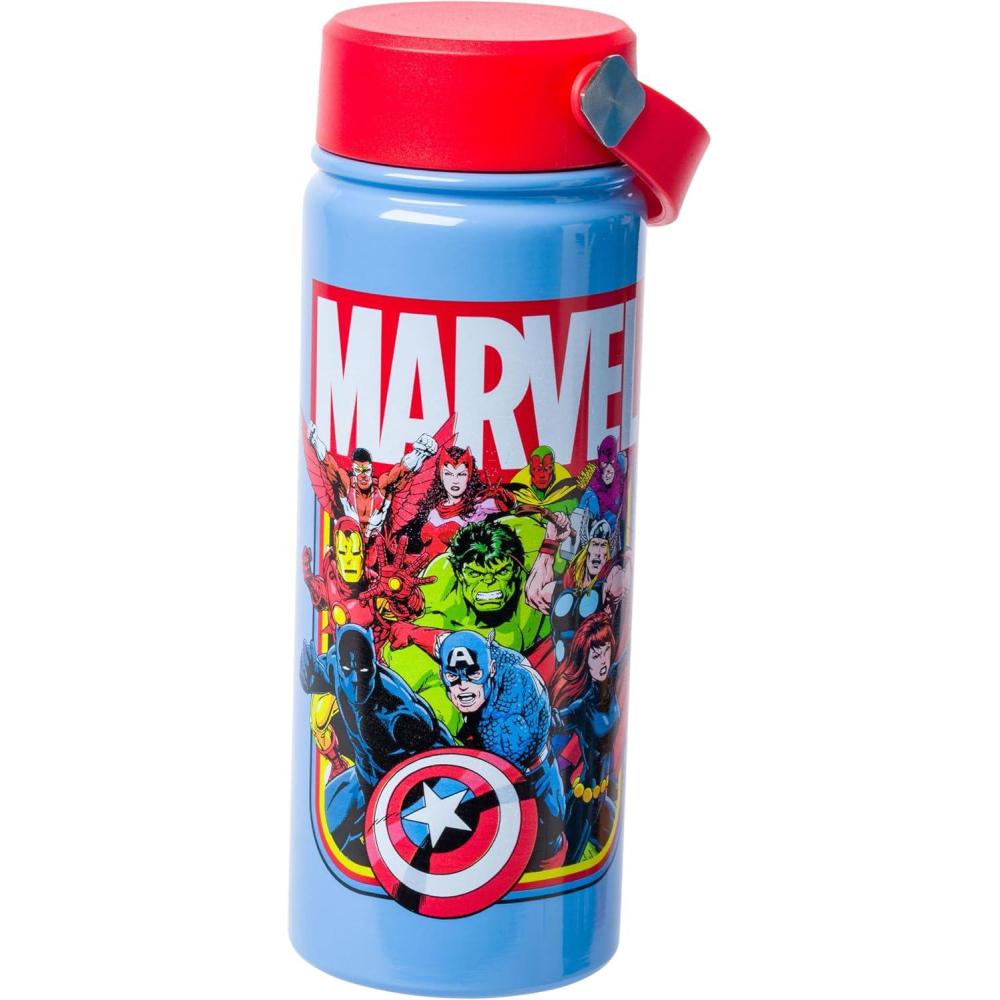 imageSilver Buffalo Rainbow Brite Stainless Steel Water Bottle with Swivel Handle 20 OuncesAvengers