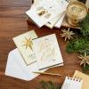 Boxed Religious Christmas Cards Assortment, Peace on Earth (4 Designs, 24 Cards with Envelopes)
