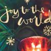 DaySpring Religious Christmas Cards, God Bless You (6 Cards with Envelopes)(Joy to the World  6 Cards with Envelopes)
