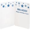 Hallmark 13″ Large Gift Bag with Birthday Card and Tissue Paper (Blue with Stars, Birthday Boy)(Birthday Boy)