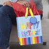 Hallmark 9″ Medium Birthday Gift Bag with Tissue Paper (Blue Happy Birthday)(Blue Birthday Bag with Red Tissue)