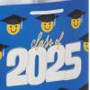 Hallmark 9″ Medium Graduation Gift Bag with Tissue Paper (Gold and Silver Mortarboards on Black) for College, High School, 8th Grade, Kindergarten, Nurses(Class of 2025)