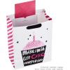 Hallmark Assorted Birthday Gift Bags (8 Bags: 3 Small 6″, 3 Medium 9″, 2 Large 13″) Smiling Sun, Balloons, Cute Flowers and Plants(Flamingo  Shoes  Cake)