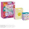 Hallmark Assorted Birthday Gift Bags (8 Bags: 3 Small 6″, 3 Medium 9″, 2 Large 13″) Smiling Sun, Balloons, Cute Flowers and Plants(Smiling Sun  Balloons  Flowers)