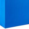 Hallmark Assorted Gift Bags (8 Bags: 3 Small 6″, 3 Medium 9″, 2 Large 13″) Solid Pink, Blue, Green, Yellow, Red(1 Count (Pack of 8))
