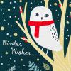 Hallmark Boxed Christmas Cards Assortment, 24 Designs (24 Cards and Envelopes)(Christmas)