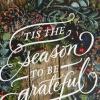Hallmark Boxed Christmas Cards, Season to be Grateful (16 Cards and 17 Envelopes)(Seasons to be Greatful)