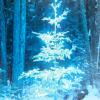 Hallmark Boxed Christmas Cards, Snowy Glowy Tree (16 Cards and Envelopes)(Peace)