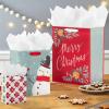 Hallmark Christmas Gift Bag Assortment (8 Bags: 3 Small 6″, 3 Medium 9″, 2 Large 13″) Red, White and Gray, Snowman, Citrus, Quilted Snowflakes(1 Count (Pack of 8))