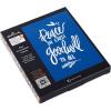 Hallmark Discontinued Product – Does Not Work(Peace on Earth  Record Your Own Video Newsletter)