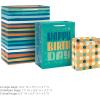 Hallmark Gift Bag Assortment (8 Bags: 3 Small 6″, 3 Medium 9″, 2 Large 13″) Kids Birthday, Good Vibes, Retro Icons(Teal Stripes  Dots  Happy Birthday)