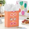 Hallmark Gift Bags in Assorted Sizes (Pack of 12 – 5 Medium 8″, 4 Large 11″, 3 Extra Large 14″) for Birthdays, Mother’s Day, Graduations, Baby Showers(2-Pack)