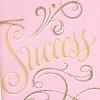 Hallmark Graduation Card (Cap and Gown)(Pink & Gold Success)