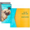 Hallmark Graduation Money Holder or Gift Card Holder Cards Assortment, Dream Big (4 Cards with Envelopes)(Dream Big  4 Cards with Envelopes)