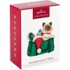 Hallmark Keepsake Christmas Ornament 2024, Mischievous Kittens, Gifts for Animal Lovers(2023 Mischievous Kittens)