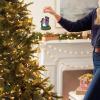Hallmark Keepsake Christmas Ornament 2025, Disney Alice in Wonderland and The Cheshire Cat with Light, Gifts for Disney Fans(Alice in Wonderland and the Cheshire Cat)