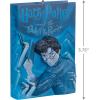 Hallmark Keepsake Christmas Ornament, Harry Potter and The Order of The Phoenix, Gifts for Harry Potter Fans(Harry Potter and the Order of the Phoenix)