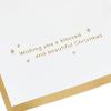 Hallmark Paper Wonder Displayable Religious Pop Up Christmas Card (Nativity Scene)(Elegant Nativity  1 Pop Up with Envelope)