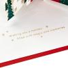 Hallmark Paper Wonder Mini Pop Up Christmas Cards (3 Cards with Envelopes: Red Truck, Cardinal, Merry and Bright)(Santa and His Reindeer Pop Up)