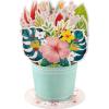 Hallmark Paper Wonder Mother’s Day Pop Up Card (Flower Bouquet) for Graduation, Administrative Professionals Day, Nurses Day, Spring, Any Occasion(Pop Up  Displayable Bouquet)