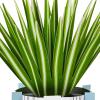 Hallmark Paper Wonder Mother’s Day Pop Up Card (Potted Spider Plant) for Nures Day, Admin Professional Day, Any Occasion